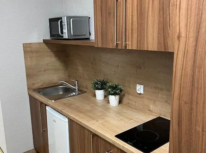 Apartamento Polna 60 *